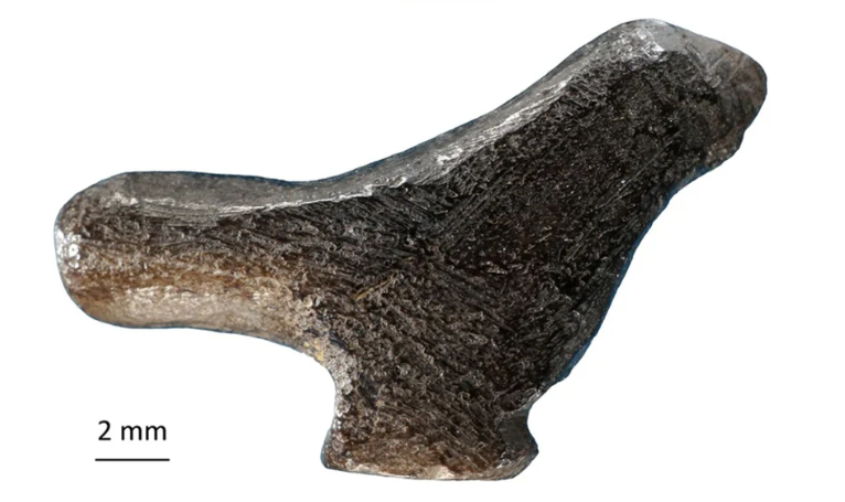 Tượng con chim nhỏ này được chạm khắc từ đá đen siêu cứng. Ảnh: @Zhanyang và cộng sự.