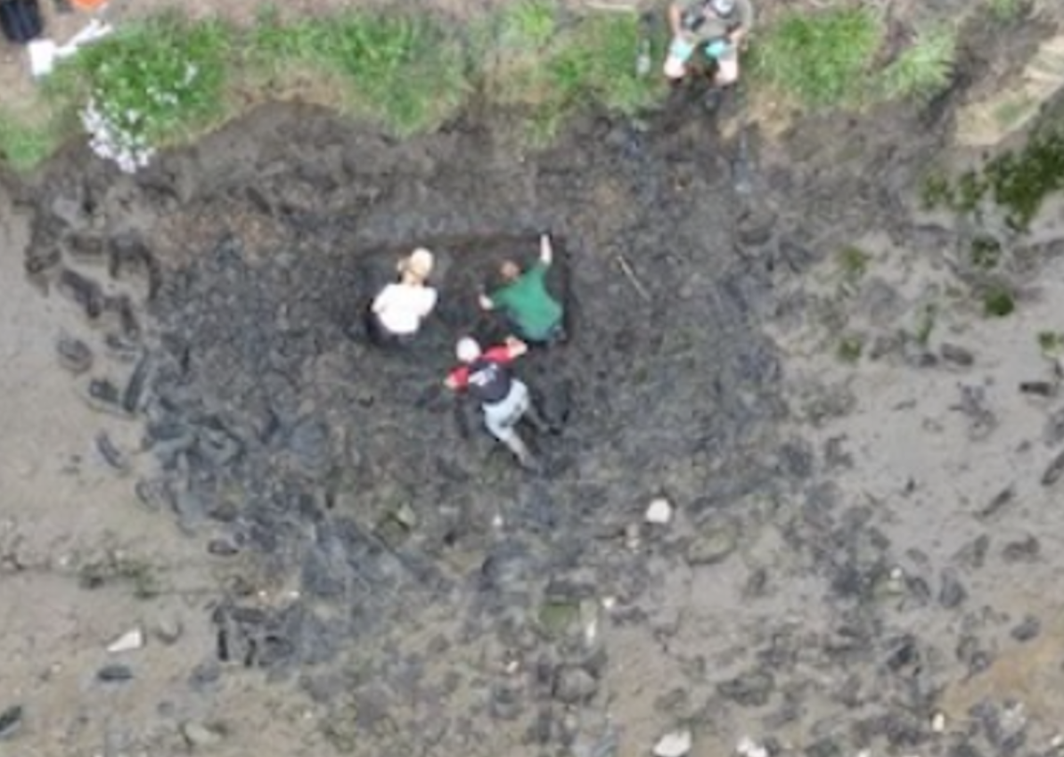 Những viên đá mài này là những thanh đá dùng để mài dao, được khai quật gần khu định cư nhỏ Offerton, gần Sunderland, bên bờ sông Wear. Ảnh: @Đại học Durham.