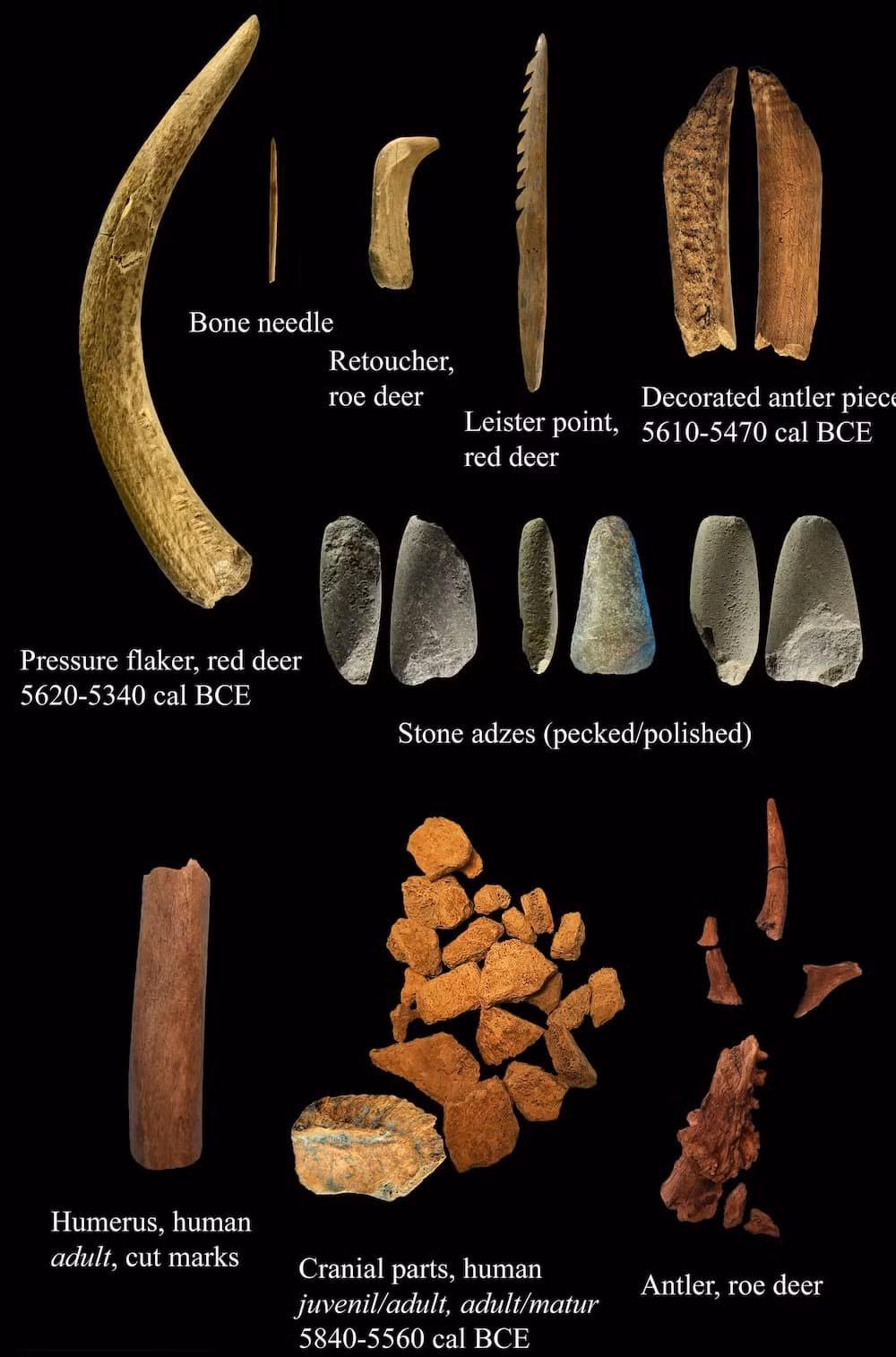 Một nghiên cứu khảo cổ học gần đây ở Thụy Điển đã hé lộ một phát hiện thú vị, minh họa cho việc tái sử dụng công cụ trong Thời Kỳ Đồ Đá Giữa. Ảnh: @Lars Larsson.