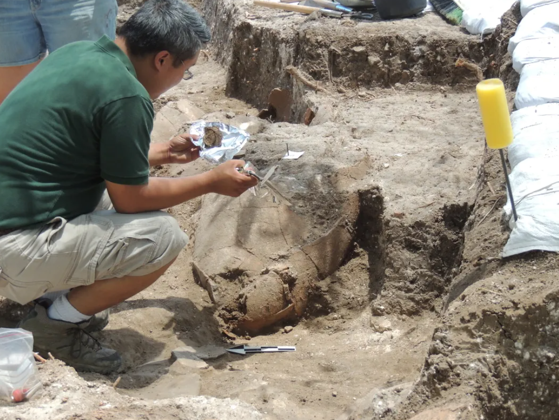 Kết quả cho thấy, cách đây khoảng 3.700 năm trước, tại Tel Kabri, những người làm rượu Canaanite đã sử dụng mật ong, dầu tuyết tùng, cây cyperus, cây bách xù, nhựa cây storax, nhựa cây terebinth, bạc hà, cây sim và quế làm chất phụ gia cho rượu Canaanite để tăng thêm hương vị, loại rượu này dùng để tổ chức tiệc chiêu đãi triều đình, hoàng gia…Ảnh: @Đại học Brandeis.