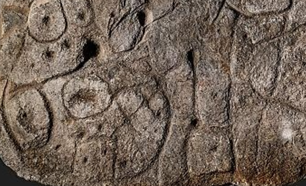 Điều đáng nói là trên bề mặt tảng đá này có khắc các đường lằn họa tiết hình học 3D đa dạng các kiểu. Ảnh: @Yvan Pailler và Clément Nicolas.