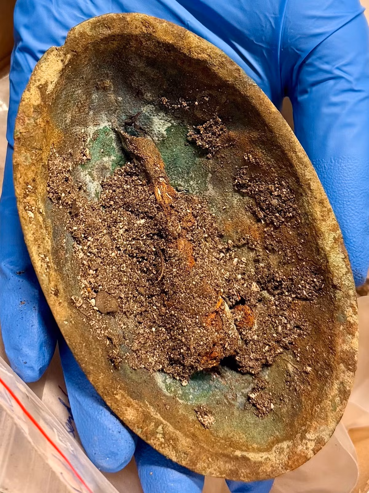 Những mảnh xương nhỏ của loài chim cũng được tìm thấy xung quanh bộ hài cốt người mất. Ảnh: @Bảo Tàng Quốc Gia Na Uy.