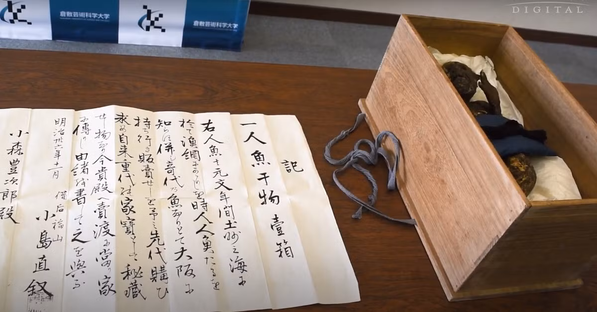 Theo các nhà khoa học, phần thân dưới thực sự làm từ đuôi cá, nhưng họ nghĩ rằng nó chỉ được thêm vào sau này. Đầu của nó lấy từ một loài động vật có vú, còn hàm và răng cũng được lấy từ cá. Ảnh: @Hội Văn hóa Dân gian Okayama.