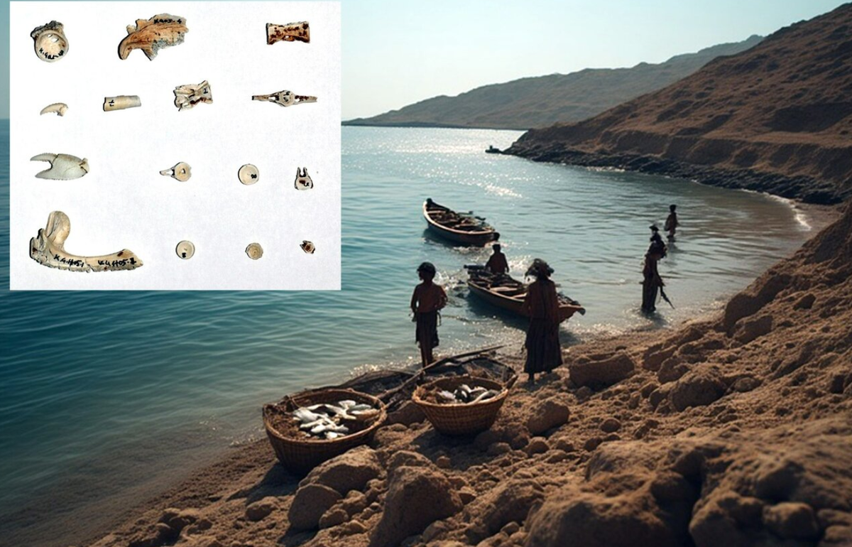 Nhóm nghiên cứu đã tìm thấy lưỡi câu và chì câu, cùng một số công cụ bằng đá. Ảnh: @Trung tâm Nghiên cứu Di sản Văn hóa Makran.