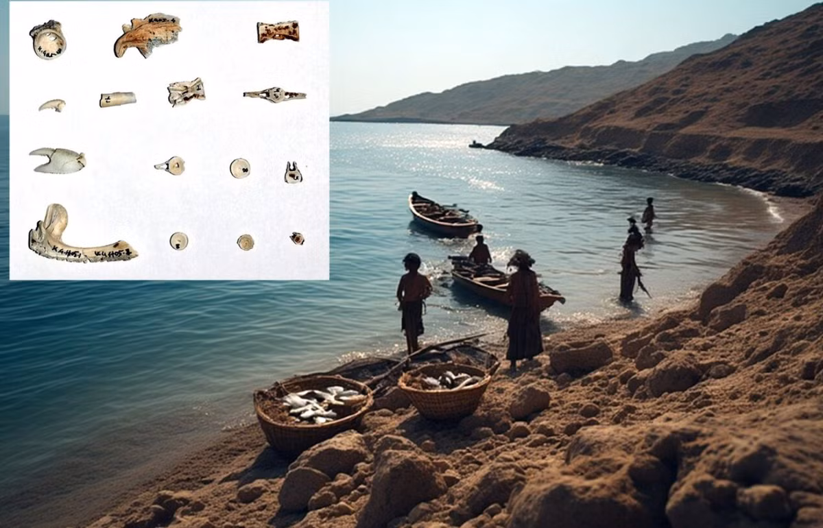 Nhóm nghiên cứu đã tìm thấy lưỡi câu và chì câu, cùng một số công cụ bằng đá. Ảnh: @Trung tâm Nghiên cứu Di sản Văn hóa Makran.