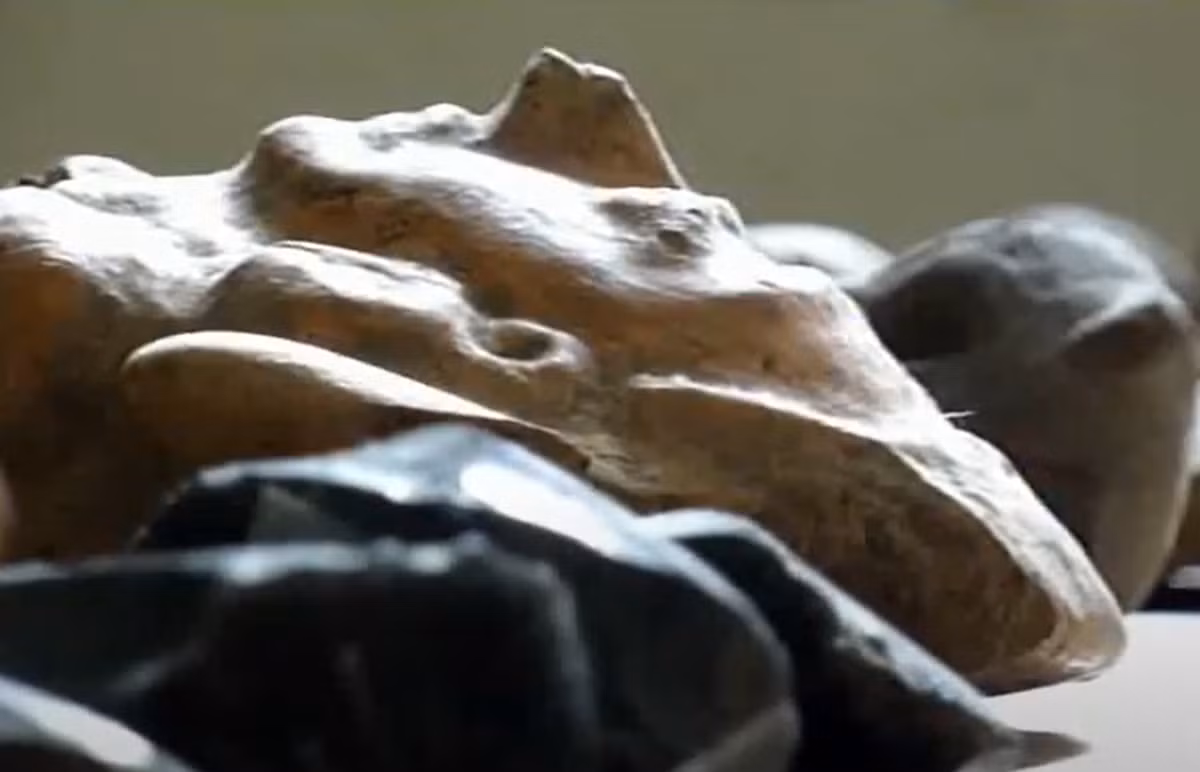 Các nhà khảo cổ học cũng tin rằng, những bức tượng nhỏ được phát hiện tại địa điểm này đóng vai trò quan trọng trong nền chính trị và kinh tế của người Maya, và chúng được trao cho các đồng minh để củng cố các mối quan hệ quan trọng của người Maya. Ảnh: @Đại học Winthrop.