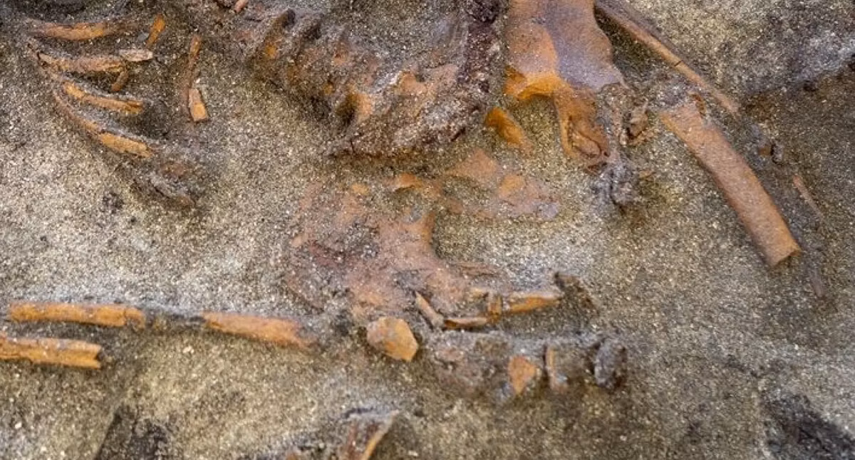 Ngôi mộ rất nông, chỉ sâu cách khoảng 15-20 cm dưới mặt đất. Ảnh: @Bảo Tàng Quốc Gia Na Uy.