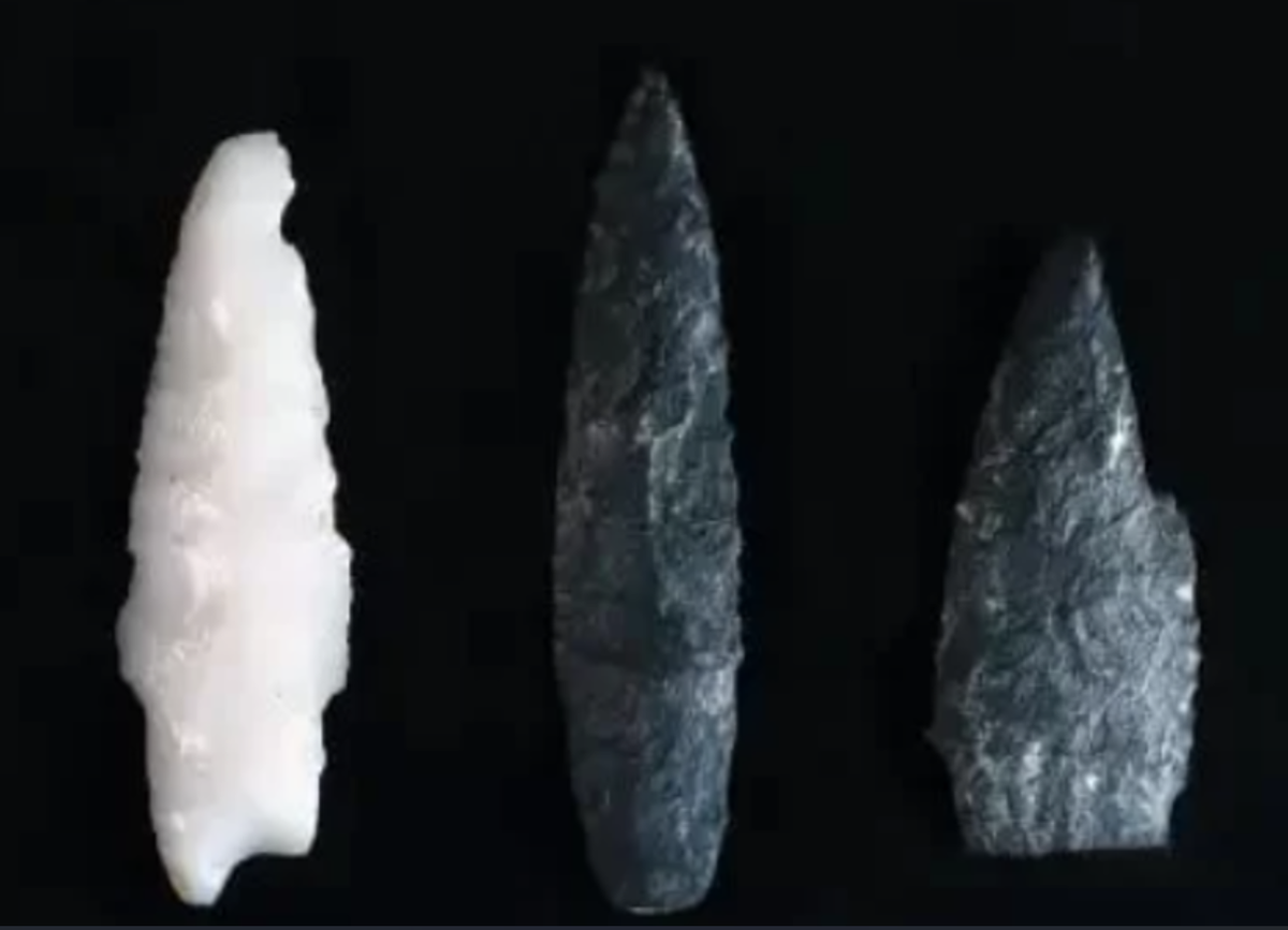 Phát hiện này cho thấy người tiền sử đã biết sử dụng công nghệ cung tên sớm hơn ít nhất 20.000 năm so với nhận định trước đây. Ảnh: @Đại học Johannesburg.