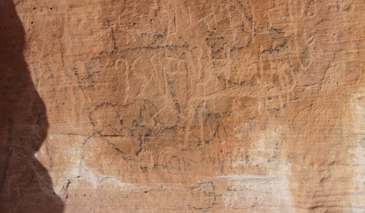 Các nhà cai trị Ai Cập thường xuyên cử các đoàn thám hiểm đến khu vực này để khai thác nguồn tài nguyên thô phong phú trong thời kỳ Tiền/Sơ triều đại và Sơ kỳ triều đại cũng như trong thời kỳ Cổ Vương quốc. Ảnh: @Đại học Bonn.