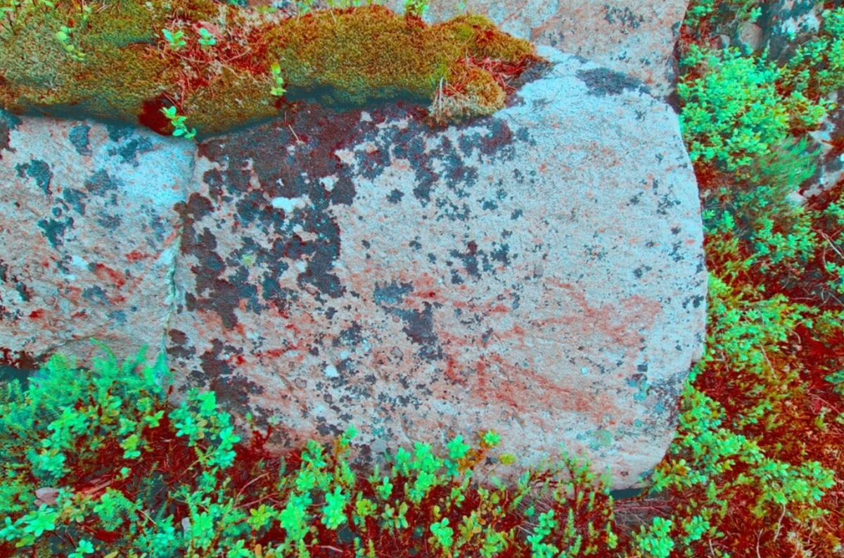 Tại khu vực này, các nghiên cứu trước đây đã ghi nhận 25 tác phẩm nghệ thuật cổ riêng biệt phân bố trên hai địa điểm chính. Ảnh: @Viện Nghiên cứu Di sản Văn hóa Na Uy.