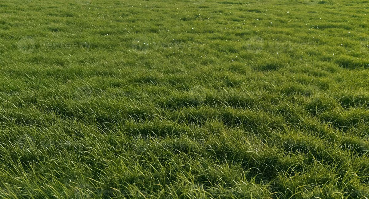 Sam Spiers, một chuyên gia dò tìm kim loại và là thành viên của "Metal Detecting Finds UK &amp; British Coins", đã phát hiện ra một vật thể lạ ở độ sâu hơn 30 cm, trong một cánh đồng cỏ giữa hai cây sồi cổ thụ. Ảnh: @Sam Spiers.