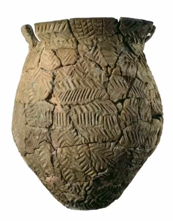 Chúng bao gồm các mảnh thủy tinh, mảnh gốm, công cụ bằng xương và một con dấu bằng đất sét. Ảnh: @Mary Evans Prints Online.