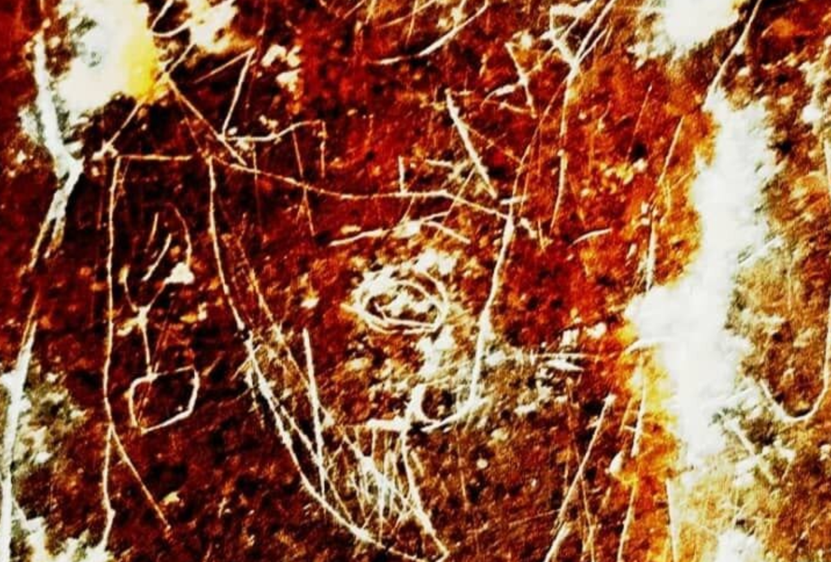 Abolhassan Atabaki cho biết, tác phẩm chạm khắc trên đá này phản ánh những đặc điểm phong cách tương tự, đặc biệt là những đặc điểm được tìm thấy trong các bản khắc kim đầu tiên từ khu vực Persepolis. Ảnh: @Abolhassan Atabaki.