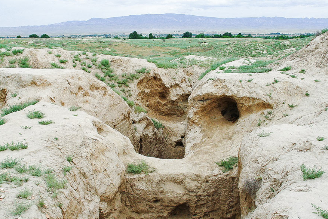 Dalverzin Tepe nằm ở góc đông nam của Uzbekistan, là một trong những khu định cư cổ nhất của đất nước. Ảnh: @Viện Hàn lâm Khoa học Uzbekistan.