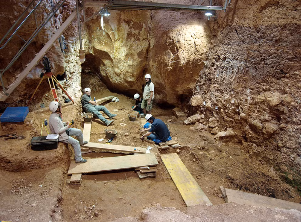 Theo đó, các nhà nghiên cứu đã phát hiện ra bộ xương cổ đại ở Sima del Elefante, một hang động ở dãy núi Atapuerca thuộc tỉnh Burgos, đất nước Tây Ban Nha. Ảnh: @Trung tâm Nghiên cứu Quốc gia về Tiến hóa Loài người.