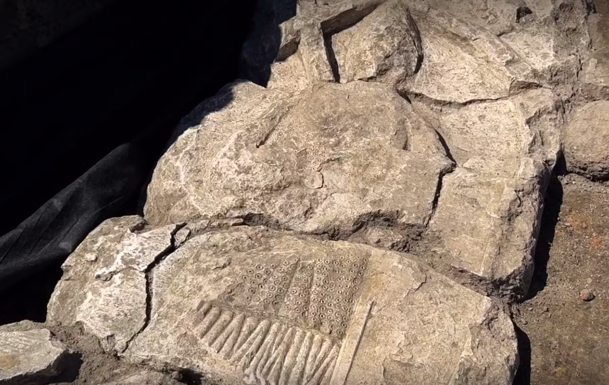 Các nhà khảo cổ dự định nâng tấm bia mộ này lên, hy vọng phần mộ cổ xưa sẽ được tìm thấy bên dưới. "Người ta không biết ai đã được chôn cất tại nơi này", chuyên gia Sylwia Kurzyńska đến từ ArcheoScan cho biết. Ảnh: @Viện Khảo Cổ Học ArcheoScan.