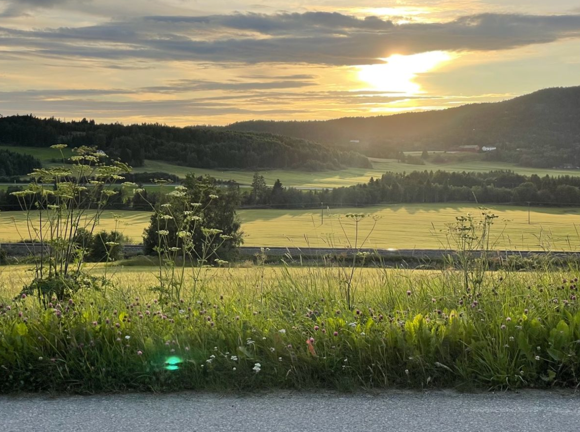 Trên một cánh đồng ở làng Hegra gần Trondheim, thuộc miền trung Na Uy, các chuyên gia đến từ Bảo tàng Đại học Khoa học và Công nghệ Na Uy bất ngờ tìm thấy hàng loạt vật thể cổ xưa kỳ lạ. Ảnh: @Bảo tàng Đại học Khoa học và Công nghệ Na Uy.