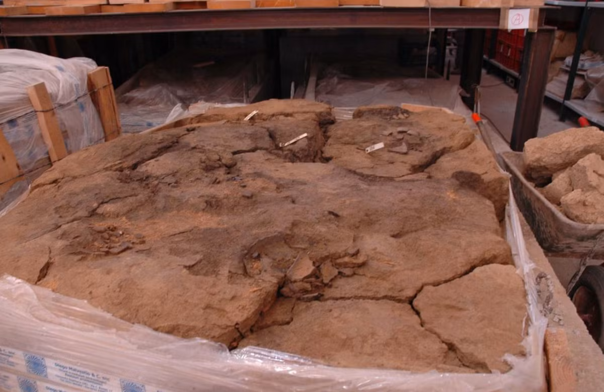 Điều đáng nói là trong mộ còn chứa bốn chiếc răng sói đã được khoan, có thể được dùng để làm mặt dây chuyền. Ảnh: @Cơ quan Giám sát Khảo cổ học khu vực Veneto.