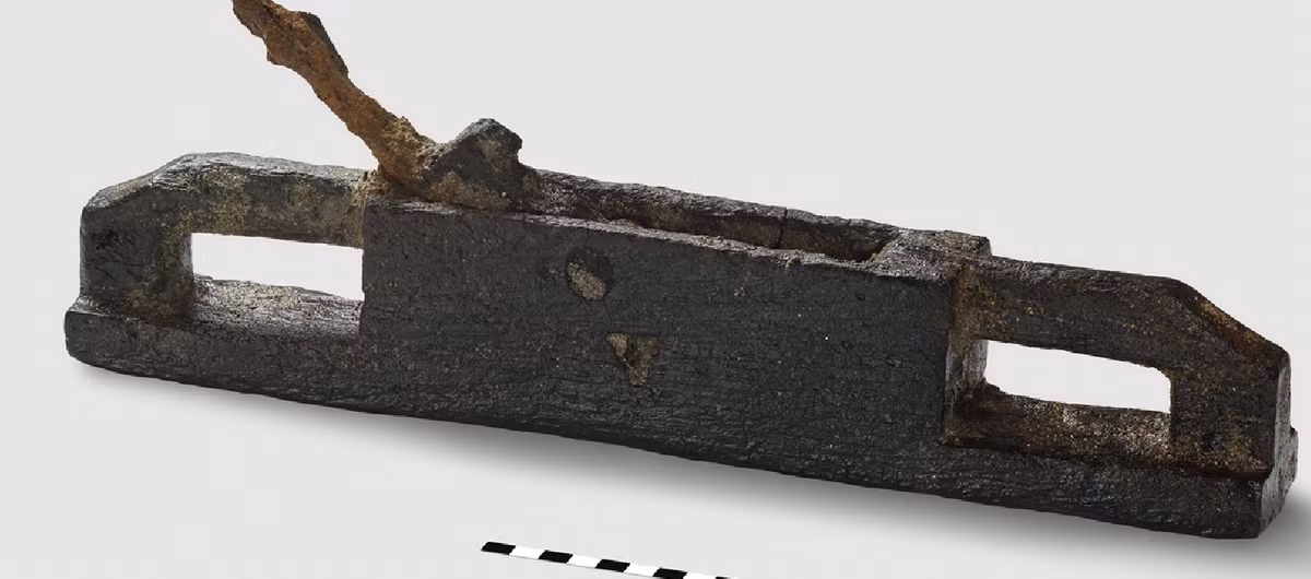 300 cọc gỗ sồi này được bảo tồn trong lớp đất ngập nước của lòng sông bị phù sa che phủ. Ảnh: @Cục Khảo cổ học Bang Bern.