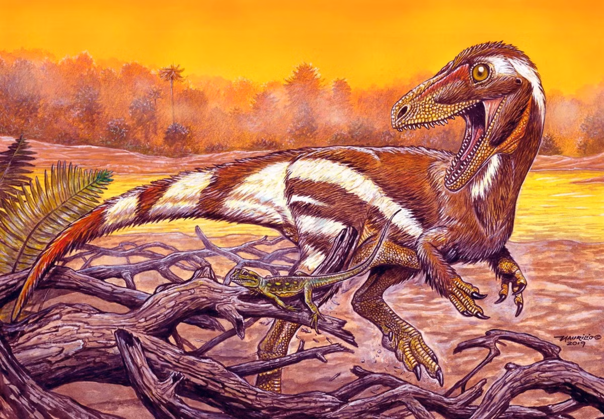 Nhà cổ sinh vật học Felipe Pinheiro và các đồng nghiệp của ông tại Universidade Federal do Pampa cho biết: “Việc phát hiện ra 'Kwatisuchus rosai' ở Brazil là minh chứng cho di sản cổ sinh vật học phong phú của đất nước này, và nhấn mạnh tầm quan trọng của việc nghiên cứu liên tục trong việc khám phá những bí ẩn của sự sống thời tiền sử”. Ảnh: @ Sci.News.