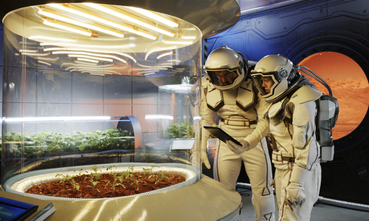 Kết quả cho thấy, trong khi cả rau diếp và A. thaliana đều sống sót trong đất giống sao Hỏa lấy từ các vật liệu tự nhiên khai thác ở Hawaii và Sa mạc Mojave, thì không loại nào cây nào có thể sinh sống trong đất tổng hợp chỉ chứa đá núi lửa, đất sét, muối và chứa các thành phần hóa học như có trên đất sao Hỏa. Ảnh: @ WIRED.