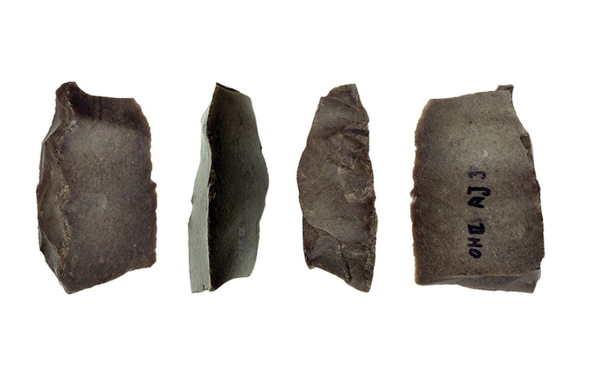 Đầu tiên, nhóm tìm thấy tàn tích của các sản phẩm ngũ cốc, một chiếc cối xay bằng đá cổ. Ảnh: @Cơ quan Cổ vật Israel.