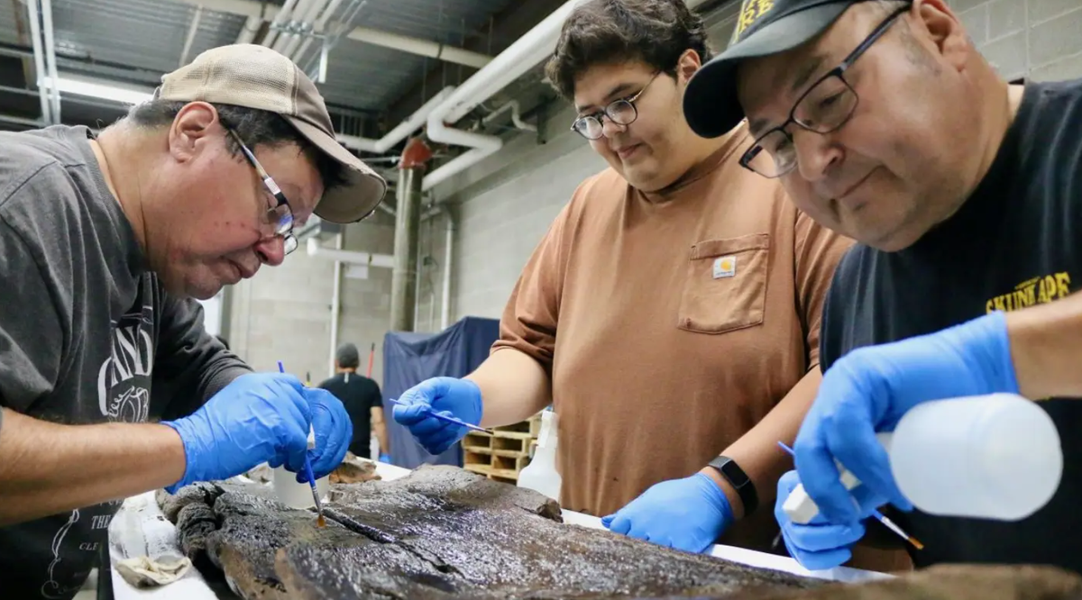 Khám phá đáng chú ý này định nghĩa lại hiểu biết của chúng ta về kỹ thuật chế tạo và mạng lưới giao thông của người bản địa thời kỳ đầu trên khắp vùng Ngũ Đại Hồ. Ảnh: @Hiệp hội Lịch sử Wisconsin.