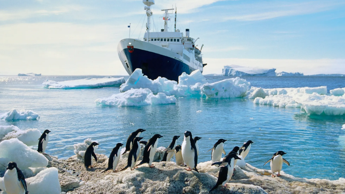 Theo đó, nhà cổ sinh vật học Christopher Torres thuộc Đại học Thái Bình Dương ở Stockton, California đã tìm thấy một hộp sọ hóa thạch gần như hoàn chỉnh trong đá trên bán đảo Vega, Nam Cực. Ảnh: @ GQ.