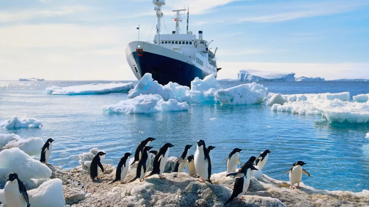 Theo đó, nhà cổ sinh vật học Christopher Torres thuộc Đại học Thái Bình Dương ở Stockton, California đã tìm thấy một hộp sọ hóa thạch gần như hoàn chỉnh trong đá trên bán đảo Vega, Nam Cực. Ảnh: @ GQ.