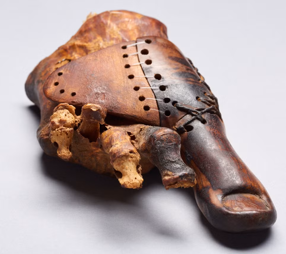 Kết quả cho thấy, đó là một ngón chân cái nhân tạo được làm bằng gỗ, ước tính có niên đại gần 3.000 năm tuổi. Ảnh: @Đại học Basel.