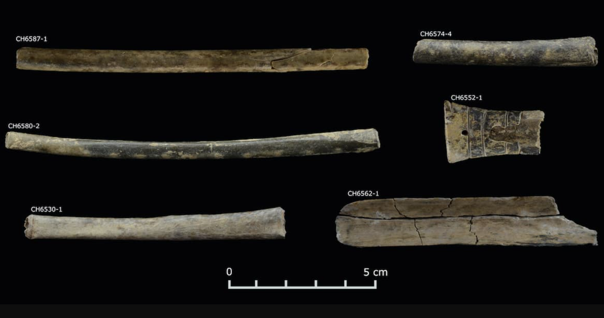 Một cuộc điều tra liên ngành do các nhà khảo cổ học từ Đại học Florida, Đại học Stanford và nhiều tổ chức Nam Mỹ thực hiện đã phát hiện ra bằng chứng trực tiếp lâu đời nhất được biết đến về việc sử dụng các loại cây có tác dụng gây ảo giác ở vùng Andes của Peru. Ảnh: @Daniel Contreras.
