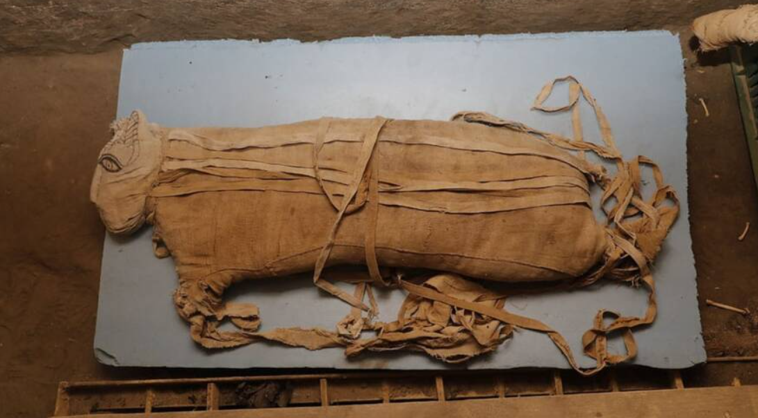 Các chuyên gia cho biết, những xác ướp này có niên đại từ thế kỷ thứ 7 Trước Công Nguyên. Ảnh: @Hội Đồng Cổ Vật Tối Cao Ai Cập.