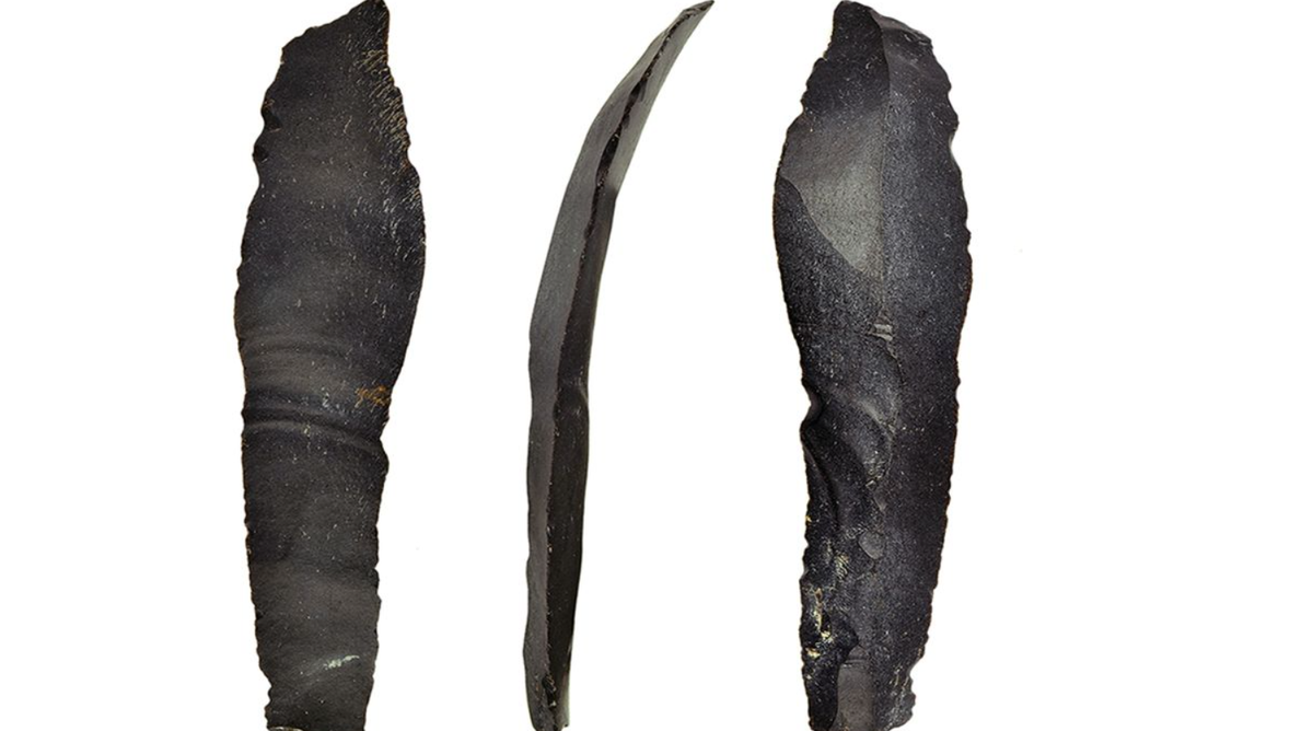 Thậm chí, một lưỡi liềm bằng đá lửa được chế tác tinh vi, mài nhẵn khéo léo cũng được khai quật ngay tại khu định cư này. Ảnh: @Cơ quan Cổ vật Israel.