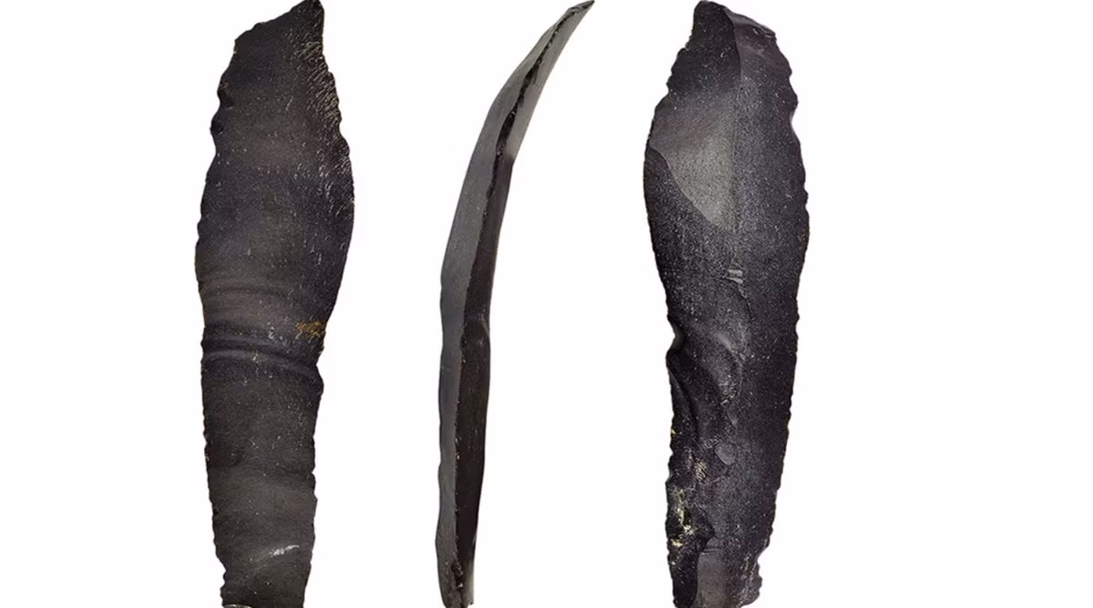 Thậm chí, một lưỡi liềm bằng đá lửa được chế tác tinh vi, mài nhẵn khéo léo cũng được khai quật ngay tại khu định cư này. Ảnh: @Cơ quan Cổ vật Israel.