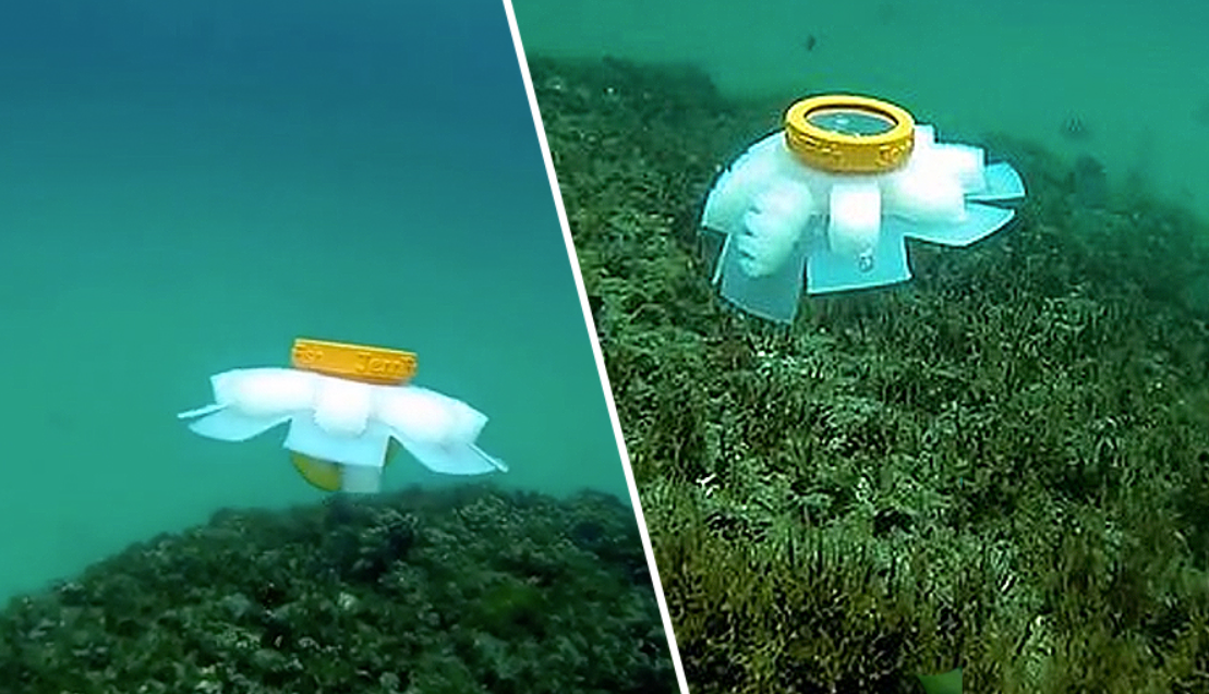 Anh còn cho biết thêm rằng: “Thông qua hình mẫu sứa robot này, tôi có mong muốn sâu sắc là giúp đỡ các rạn san hô đang bị đe dọa trên khắp thế giới". Erik Engeberg hy vọng con sứa robot của mình sẽ giúp các nhà khoa học nghiên cứu những tác động tiềm ẩn của biến đổi khí hậu trên biển. Ảnh: @Erik Engeberg.