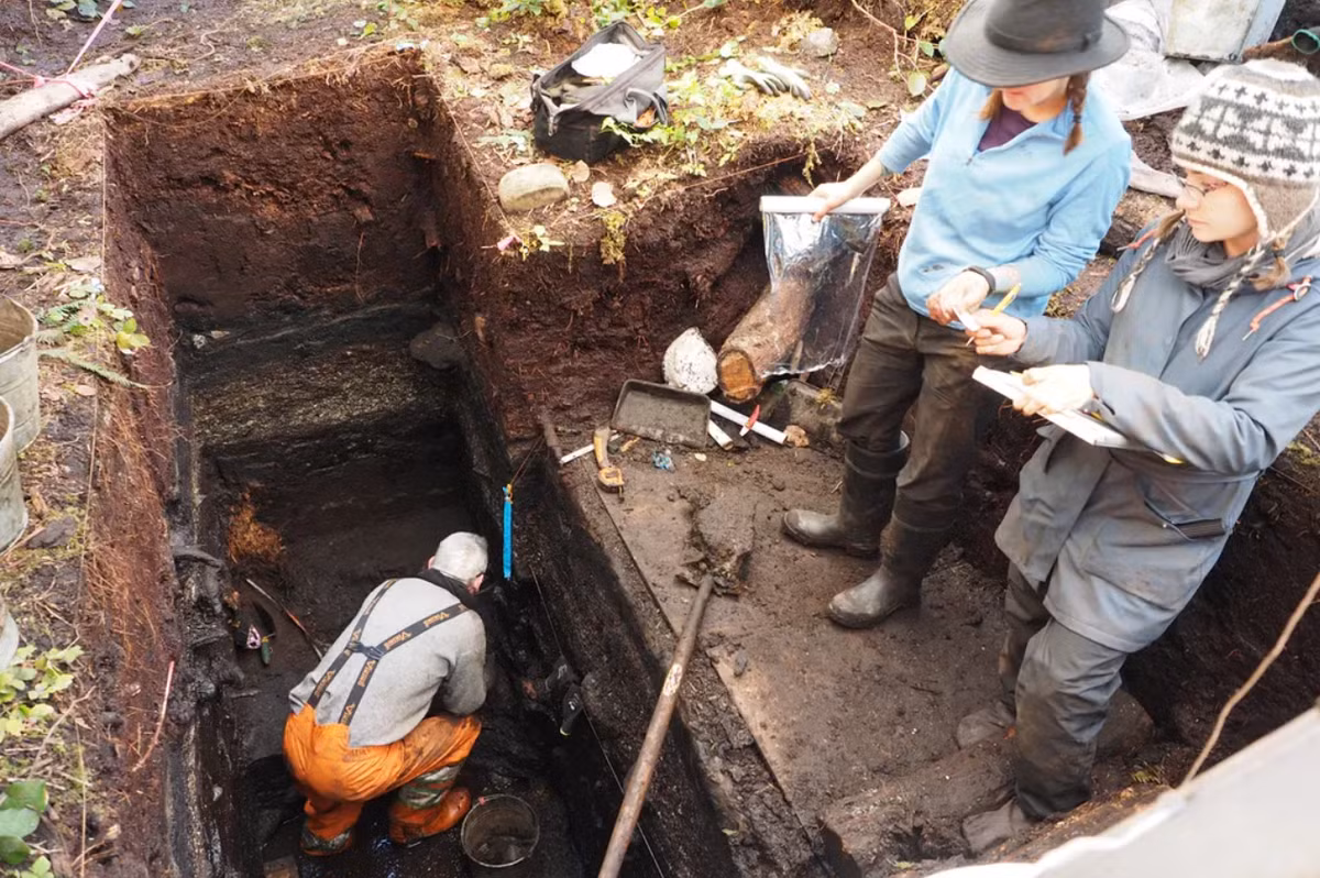 Giờ đây, phát hiện khảo cổ mới đã xác nhận dữ liệu dân tộc học này, cho thấy tổ tiên của những người định cư Heiltsuk đã sinh sống trong khu vực này trong thời kỳ băng hà cuối cùng, họ đã xây dựng những nơi trú ẩn đơn giản ở khu định cư tập trung. Ảnh: @Bảo tàng Quốc gia Canada.