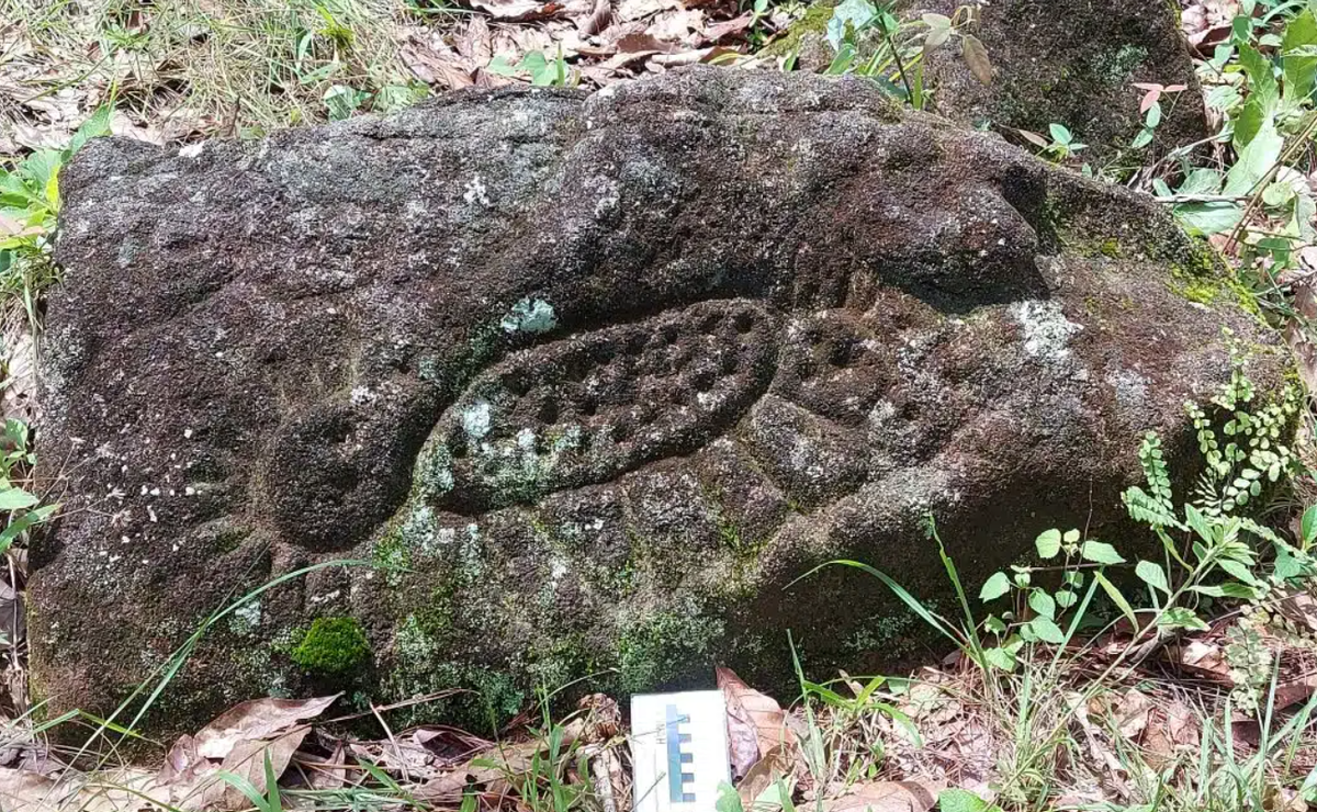 Các nhà nghiên cứu tin rằng, chúng có liên quan đến các nghi lễ thờ mặt trời và nước. Ảnh: @Viện Nhân chủng học và Lịch sử Quốc gia Mexico.