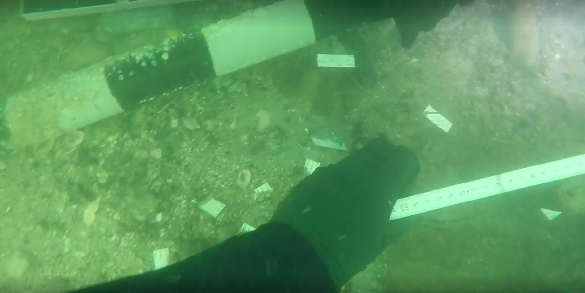 Trong số những di vật này có một chiếc răng hàm vẫn còn dính vào xương hàm. Ảnh: @Cục Nghiên cứu Khảo cổ học Mỹ.