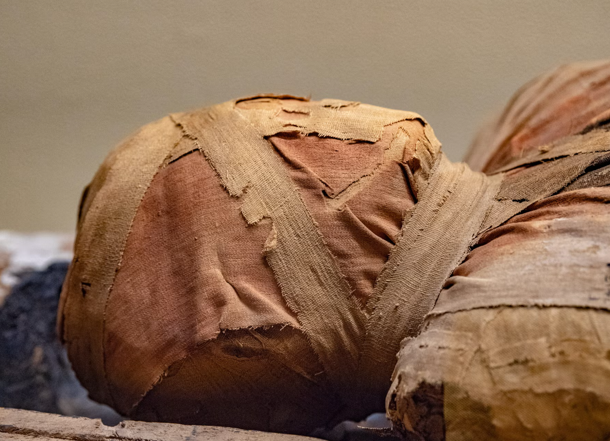 Xác ướp được bao quanh bởi nhiều đồ vật tùy táng, bao gồm các lọ thuốc mỡ, dụng cụ làm sạch thi thể, những thứ rất cần thiết cho quá trình ướp xác. Ảnh: @Bộ Văn hóa Ý.