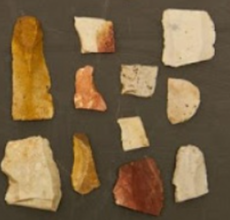 Cơ quan Khảo cổ học cấp bang cho biết: "Khoảng 12.000 năm trước, dường như đã có những nhóm nhỏ người săn bắn hái lượm sinh sống ở khu vực này, hiện nay là rừng rậm. Những người sống ở đây có lẽ là những người săn bắn hái lượm, săn bắt hươu hoặc các loài thú săn tương tự”. Ảnh: @Swissinfo.