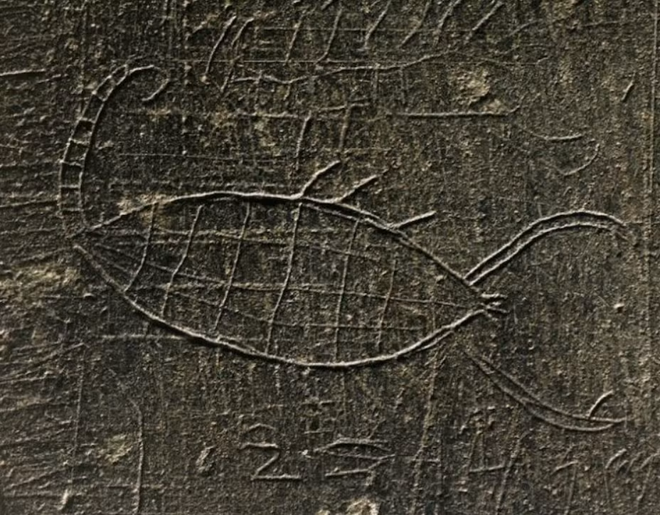 Chúng bao gồm hình khắc bọ cạp, rết và các dòng chữ Aram. Ảnh: @Cơ Quan Cổ Vật Thổ Nhĩ Kỳ.