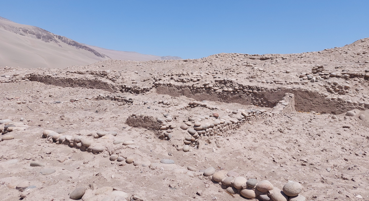 Và Tambo Viejo ở miền nam Peru từng là một trung tâm hành chính quan trọng của người Inca cổ xưa. Ảnh: @Đại học Calgary.