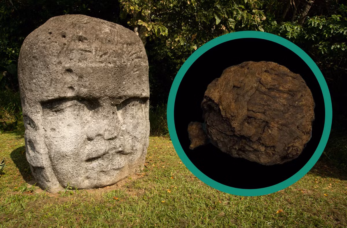 Nền văn minh Người Olmec là một nền văn minh Trung Mỹ tồn tại từ năm 1.200 Trước Công Nguyên đến năm 400 Trước Công Nguyên. Ảnh: @Đại học Quốc gia Mexico.