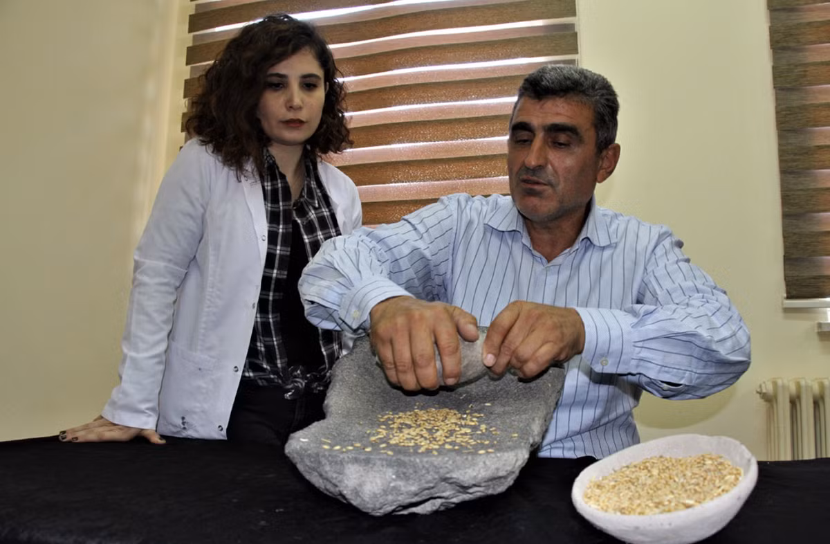 Việc mảnh đá bị mòn chứng tỏ nó đã từng được sử dụng rất nhiều. Ảnh: @Đại học Van Yüzüncü Yıl.