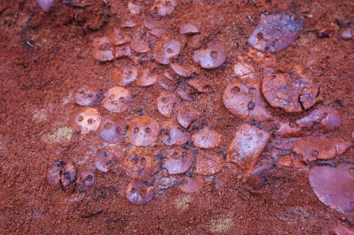 Các nút hổ phách được xếp úp xuống thành hàng và được khâu đính vào một tấm da phủ lên thi thể người đã khuất, trong khi dọc theo các cạnh của hố chôn có các đồ trang trí bằng hổ phách. Ảnh: @Đại học bang Petrozavodsk.