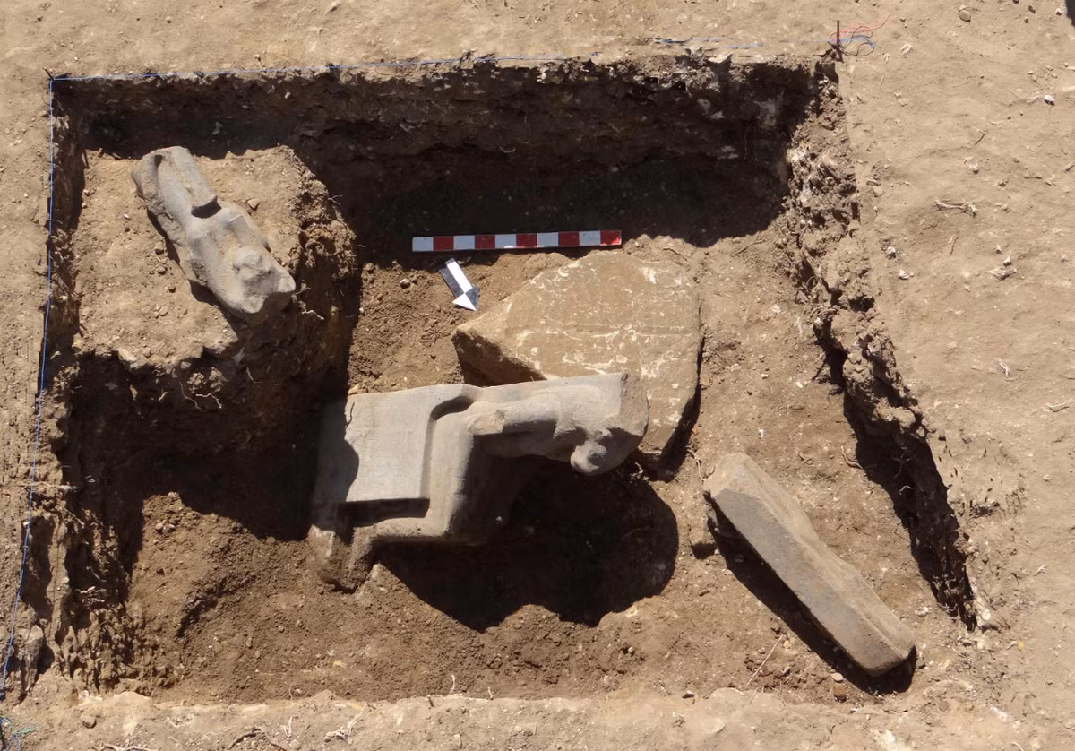 Giáo sư Horig Suruzaan, người đứng đầu đoàn thám hiểm, cho biết một số bức tượng được phát hiện mô tả nữ thần Sekhmet ở tư thế ngồi. Ảnh: @Horig Suruzaan.