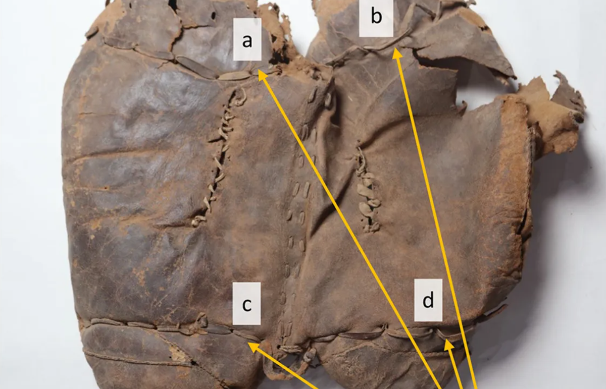 Phương pháp định tuổi bằng đồng vị carbon phóng xạ cho thấy, chiếc yên ngựa được làm cách đây khoảng 2.700 năm trước, vào khoảng giữa năm 724 - 396 Trước Công Nguyên. Ảnh: @Patrick Wertmann.
