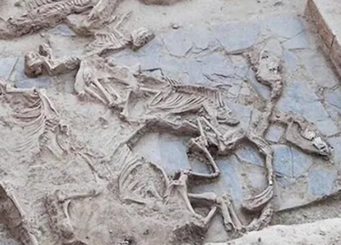 Cuộc khai quật mới đã phát hiện một công trình kiến ​​trúc lớn bằng gạch bùn từ cuối Thời Kỳ Đồ Sắt. Ảnh: @Construyendo Tarteso.