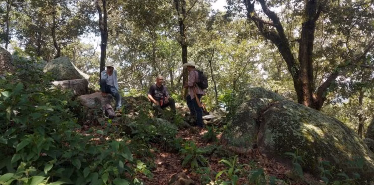 Paso Temprano trải dài trên quy mô hơn 1,2 km. Ảnh: @Viện Nhân chủng học và Lịch sử Quốc gia Mexico.