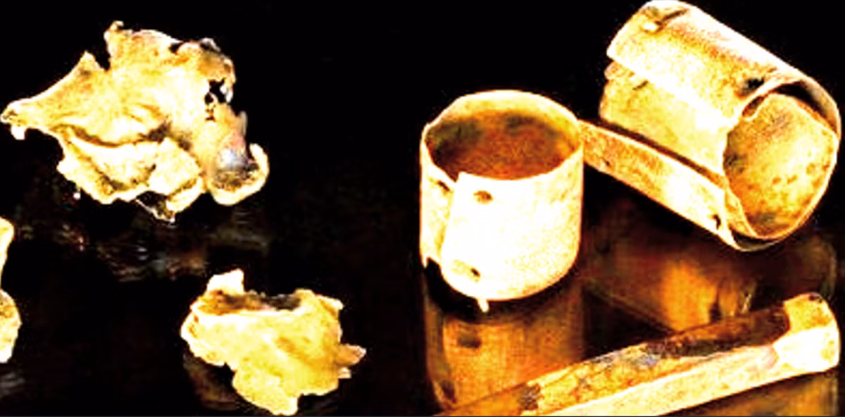 Ngoài ra, hơn 12.000 mảnh xương người đã được tìm thấy tại thung lũng gần sông Tollense, và các nhà nghiên cứu đã xác định được hơn 140 hài cốt, chúng thuộc về các nam thanh niên trưởng thành có tình trạng thể chất tốt. Ảnh: @Đại học Greifswald.